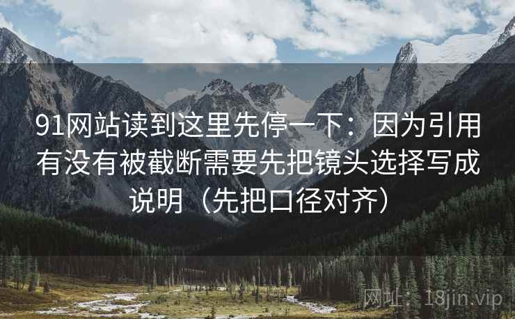 91网站读到这里先停一下：因为引用有没有被截断需要先把镜头选择写成说明（先把口径对齐）